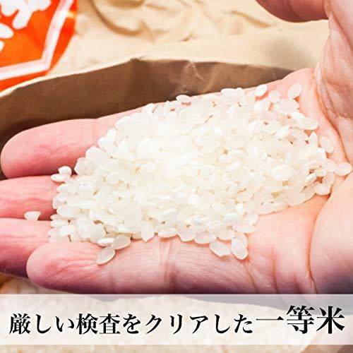 新米 令和4年産米 夢つくし 白米 5kg 2022年産 福岡県産米 福岡のお米 新米 2022