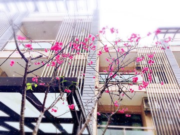 滿租中➡️八套房收租、12年屋、有電梯｜宜蘭縣宜蘭市嵐峰路三段