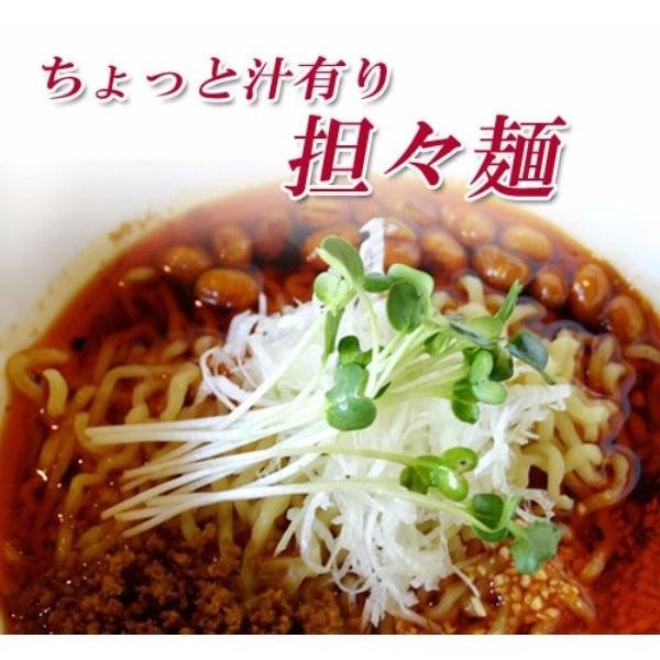 望月製麺 ちょっと汁有り  担々麺