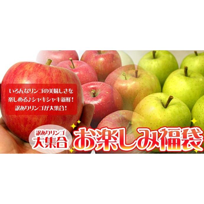 りんご 訳あり 福袋 10kg 青森もしくは北海道産 リンゴ 送料無料沖縄は送料別途加算 御歳暮 クリスマス 正月