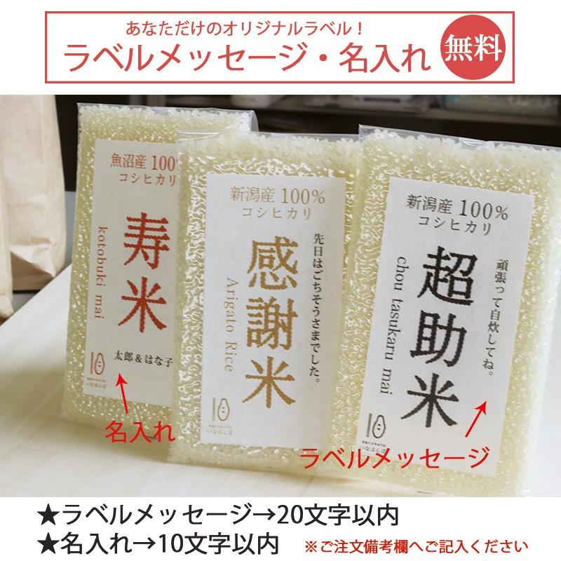 感謝米 2合 300g 条件付送料無料 新潟産コシヒカリ 新潟米 プチギフト 内祝い 名入れ 結婚 出産 お礼 景品 挨拶 引越 退職 粗品 真空 令和5年産