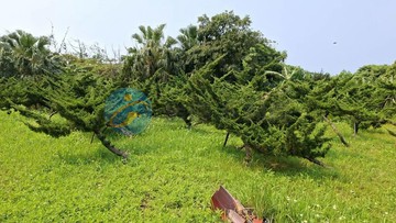 新北石門區專約老梅段整筆大塊土地｜新北市石門區老崩山