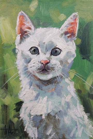 原創油畫 動物寵物肖像 白色小貓 尺寸 6x4 英吋