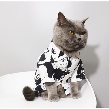 潮！寵物貓咪比熊小型小狗衣服貓咪衣服夏季薄款防掉毛熊貓襯衫