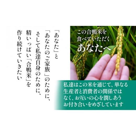 ふるさと納税 福岡県 大木町 令和5年産 予約 合鴨米「ヒノヒカリ」（玄米・10kg）定期便6回コース 数量限定 ※令和5年10月中旬スタートの定期便 BI05