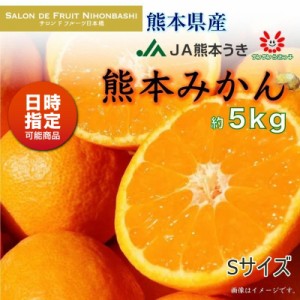 [予約 2024年1月1日必着] 熊本みかん Sサイズ 約5kg 熊本県産 熊本 JA熊本うき 早生 くまもと ミカン 産地箱 お正月必着指定 お年賀 御年