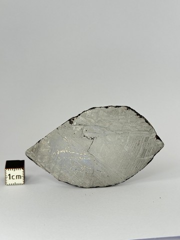 Muonionalusta隕石 瑞典。53.93克切片。