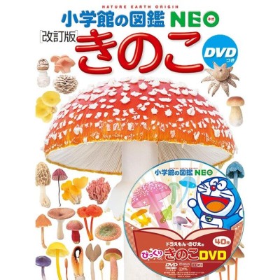 小学館の図鑑NEO 12冊セット 恐竜・動物・昆虫・植物・魚・両生類 