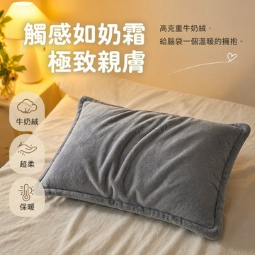台灣出貨✨ 牛奶绒枕套 信封式枕罩 保暖加厚枕頭套 單人宿舍枕套 純色寢具 40*60cm 50*80cm