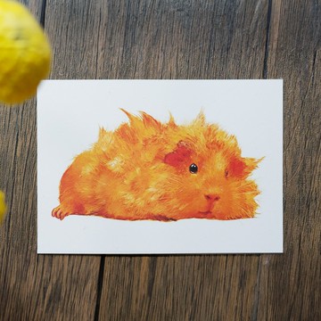 天竺鼠明信片 溫柔質感細紋紙3款