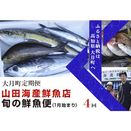 ふるさと納税 山田さんちの「旬の鮮魚便」 計4回(1月始まり) 高知県大月町