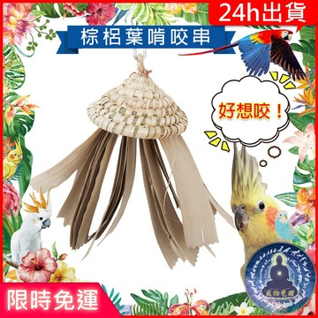 【寵物覺醒24h出貨】鸚鵡棕櫚葉啃咬玩具磨牙紓壓