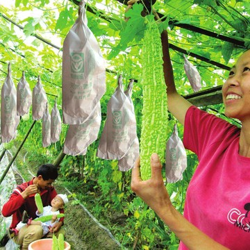 防蟲袋 水果套袋 苦瓜專用套袋絲瓜袋防雨水防鳥防蟲透氣純木漿紙白色黃瓜紙袋
