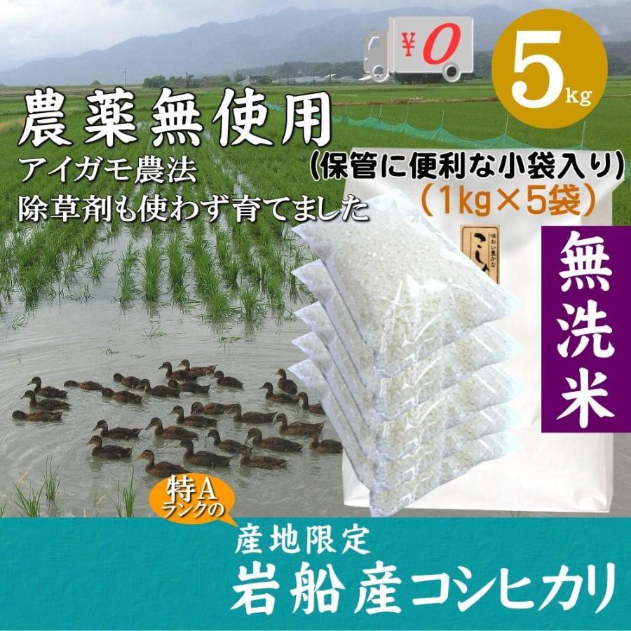 農薬無使用 米 新潟県岩船産コシヒカリ 無洗米 1kg×5袋 5kg お米 白米 特A 送料無料