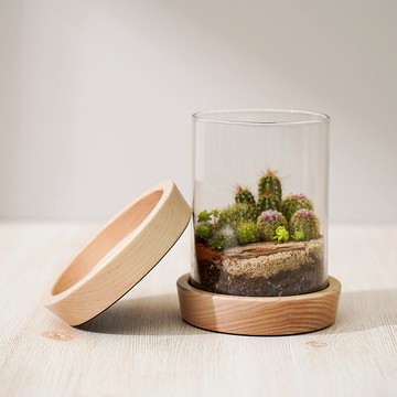 【生態缸專用原木底座】微景觀生態缸 | 蒔光