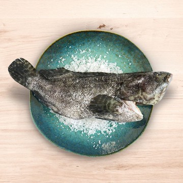 預購3/28出貨-海飼龍虎石斑全魚(三尾)