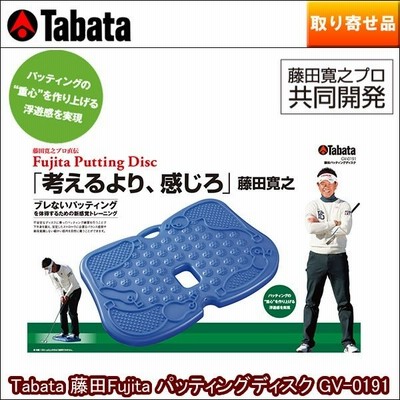 TABATA 藤田Fujita パッティングディスク GV-0191 本体 525×344×45(mm) 重量 約1.5kg(本体のみ)