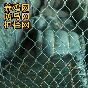防鳥網 果園防鳥用網果樹防鳥天網葡萄網天網防鳥尼龍網養殖天網 限時88折
