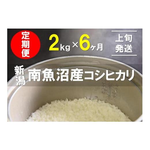 ふるさと納税 新潟県 南魚沼市 2kg×6ヶ月　南魚沼産コシヒカリ　うちやま農園米