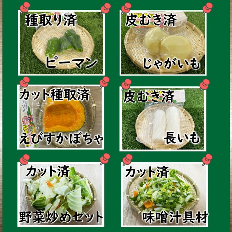 時短食材 野菜セット 11品 送料無料 カット野菜 送料込 通販 野菜セット 詰め合わせ 九州