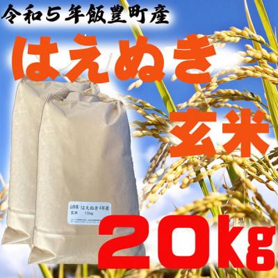 ふるさと納税 飯豊町 はえぬき　玄米20kg(令和5年飯豊町産)