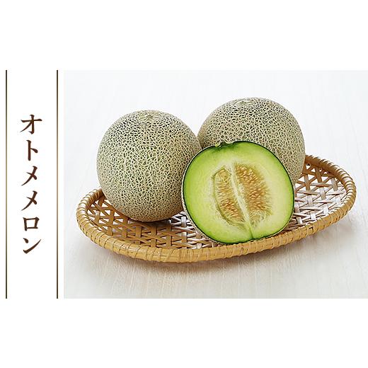 ふるさと納税 茨城県 茨城町 082-2茨城県産オトメメロン約5kg（3~5玉）