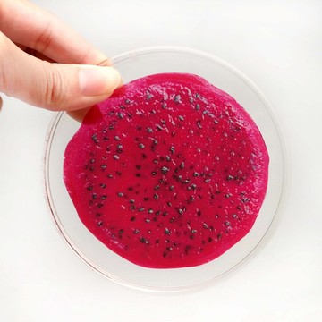 【聖誕節快速出貨】【療癒禮物】水果切片火龍果晶透壓克力杯墊