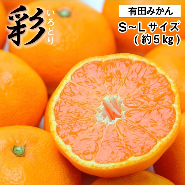 (11月上旬頃より順次発送) 2023 お歳暮 ギフト 有田みかん 彩 いろどり 糖度12度以上 最高級ブランド品 赤秀 S〜Lサイズ 約5kg フルーツ