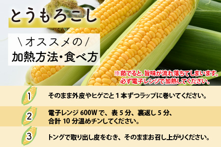 秋とうもろこし 10本 おおもの 黄色 朝採り ／ 期間限定 数量限定 ハウス栽培 産地直送 甘い スイートコーン とうもろこし 野菜 あわら ※2024年10月10日より順次発送