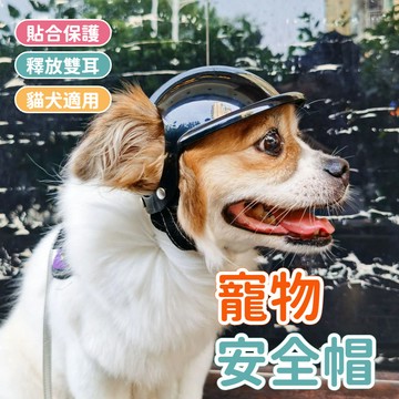 寵物頭盔 寵物安全帽 貓咪安全帽 狗狗安全帽 狗安全帽 貓安全帽 小狗安全帽 寵物用品 寵物帽子 寵物服飾