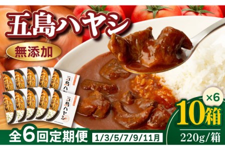 こだわりの五島ハヤシ10箱セット 化学調味料・着色料不使用 創作郷土料理いつき 五島産 牛肉 野菜五島市 出口さんご[PBK020]