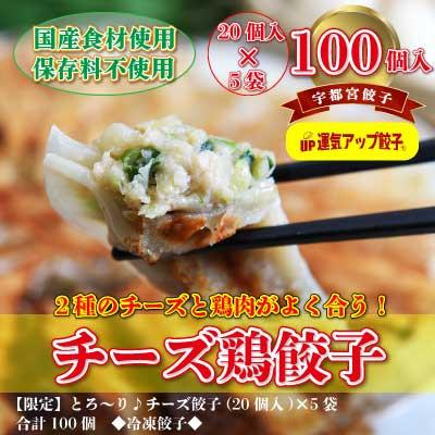 ふるさと納税 宇都宮市 宇都宮餃子　チーズ鶏餃子100個　保存料不使用