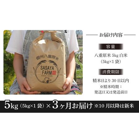 ふるさと納税 八重原米5kg（5kg×1袋）白米 長野県東御市