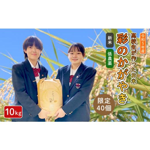 ふるさと納税 埼玉県 羽生市 令和5年産 彩のかがやき 玄米 10kg 低農薬 新米