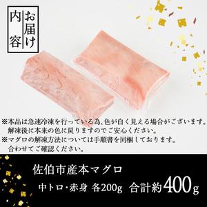 ふるさと納税 佐伯市産本マグロ 中トロ・赤身 食べ比べ(合計約400g・中トロ200g・赤身200g) 中とろ あかみ セット マグロ 鮪 刺身 さしみ 魚 海.. 大分県佐伯市