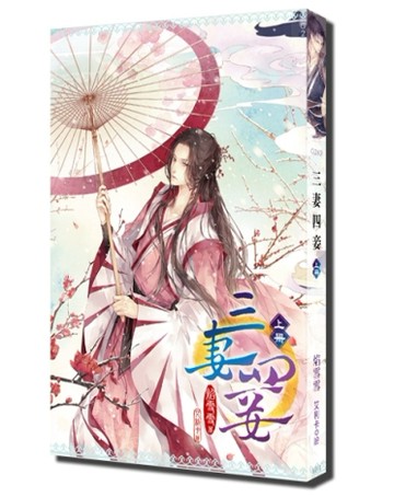 三妻四妾（上）（新版）[二手書_近全新]