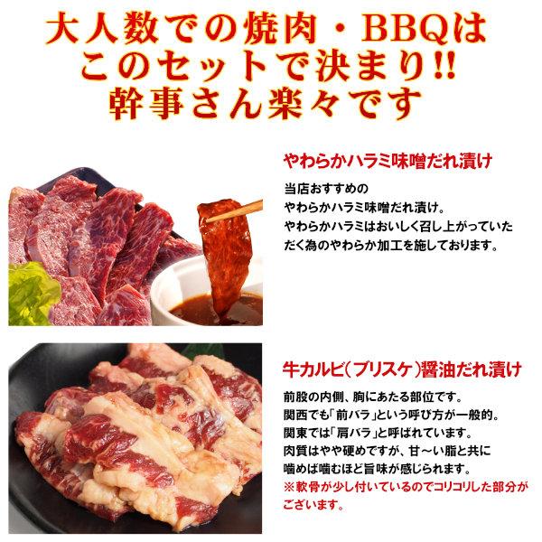 焼き肉 焼肉 セット バーベキューセット 計約5kg 12-15人前 特撰人気盛り BBQセット ハラミ カルビ ミスジ など計11種 バーベキュー 焼肉