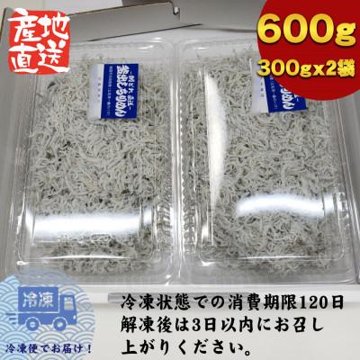 ふるさと納税 南国市 釜揚げしらす高知県土佐湾産600g(300g×2袋)新鮮・ふわふわ鮮度抜群!