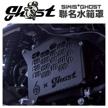 🔱 Mr king 🔱SYM 白鐵水箱護網 Ghost SIXIS 聯名水箱罩 DRG 曼巴 JETSL FIDDLE