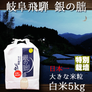 新米 銀の朏 岐阜県飛騨 いのちの壱 5kg 特別栽培米 ぎんのみかづき 10 下旬頃より出荷予定