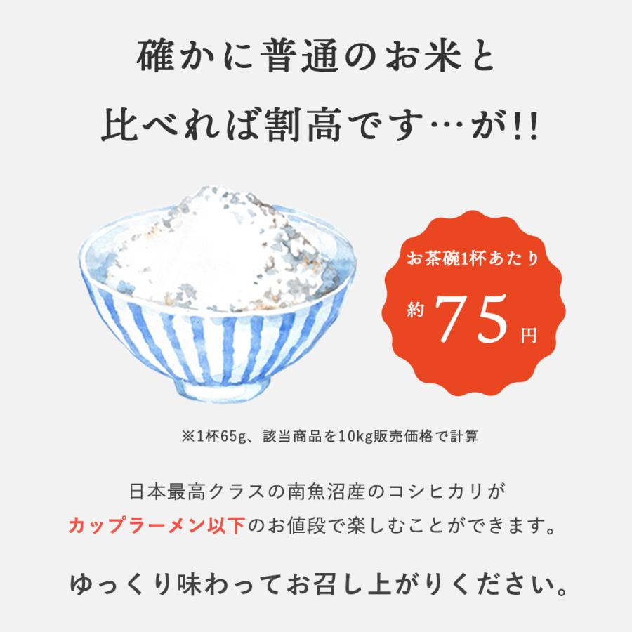 新米 南魚沼産 コシヒカリ 4kg 特別栽培 特A米 こしひかり 白米 玄米 4キロ 令和4年産 送料無料 長期保存