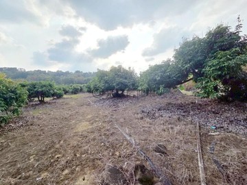 杉林臨路地形漂亮優質農地｜高雄市杉林區十張犂段