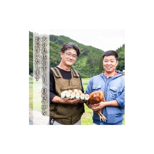 ふるさと納税 大分県 佐伯市 ＜お試し用＞ 平飼い赤鶏のたまご (計10個) 元さん農園