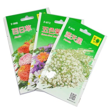 翠筠 花種子 種子 苗種子 雛菊 康乃馨 香雪球 千鳥草 勳章菊 西洋石竹 大花滿天星【FC410】  123便利屋