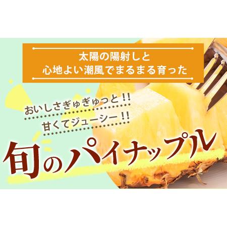 ふるさと納税 石垣島産パイナップル　2〜6個　約3kg KP-14 沖縄県石垣市