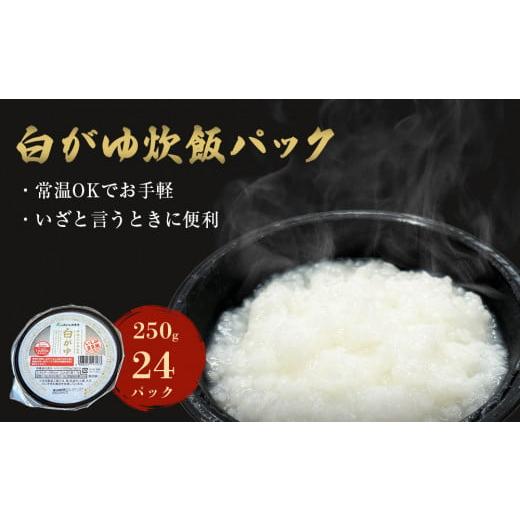 ふるさと納税 宮城県 石巻市 パックご飯 白がゆ 250g×24個 宮城県産 ササニシキ お粥 常温