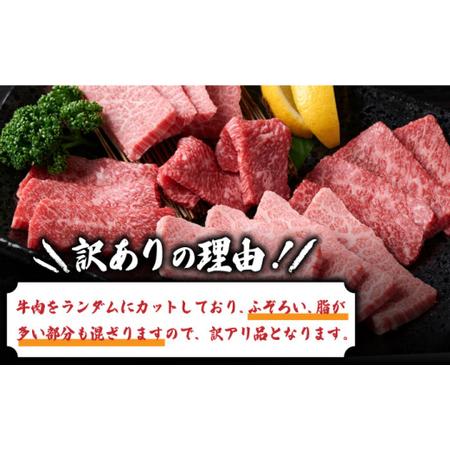 ふるさと納税 博多和牛 焼肉 切り落とし 500g＜株式会社MEAT PLUS＞那珂川市 牛肉 肉 黒毛和牛 ブランド牛 国産  BBQ バーベキュー[.. 福岡県那珂川市