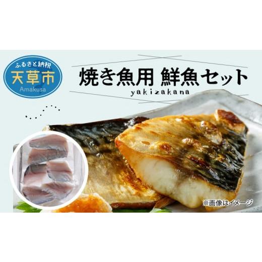 ふるさと納税 熊本県 天草市 S121-001_焼き魚用　鮮魚セット