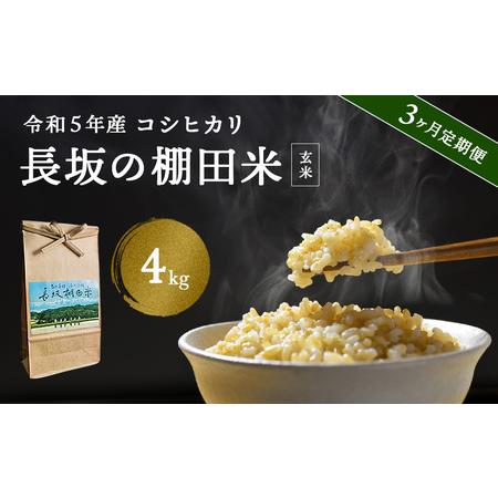 ふるさと納税 〈3ヶ月定期便〉令和5年 富山県産 コシヒカリ 長坂の棚田米 4kg (玄米） 富山県 氷見市 こしひかり 棚田 富山県氷見市