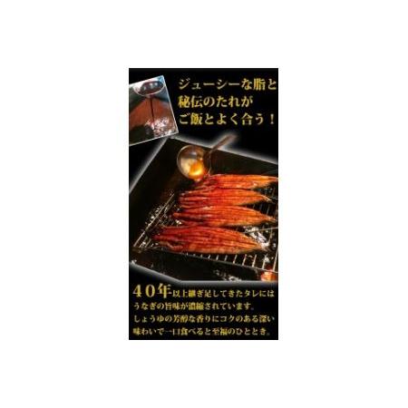 ふるさと納税 大型サイズふっくら柔らか国産うなぎ蒲焼き 約2人前 和歌山県由良町